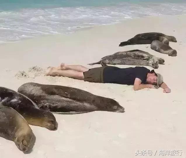 泰国9个最不能错过的美丽海岛,比普吉岛还美的度假天堂