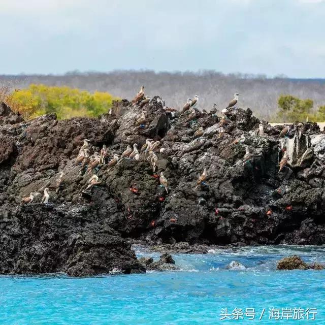 泰国9个最不能错过的美丽海岛,比普吉岛还美的度假天堂