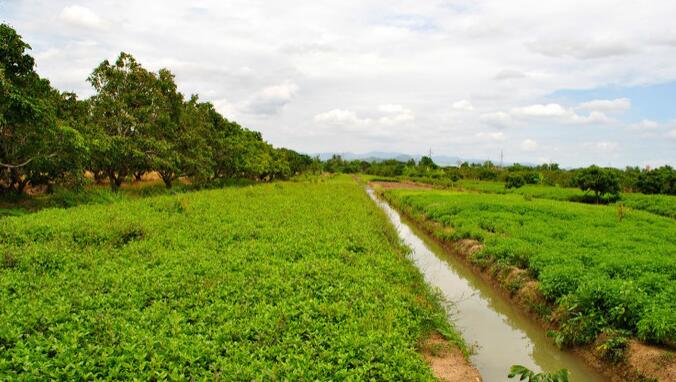 爱吃爱玩的旅行者清迈特色体验学做一顿秀色可餐的泰国菜！