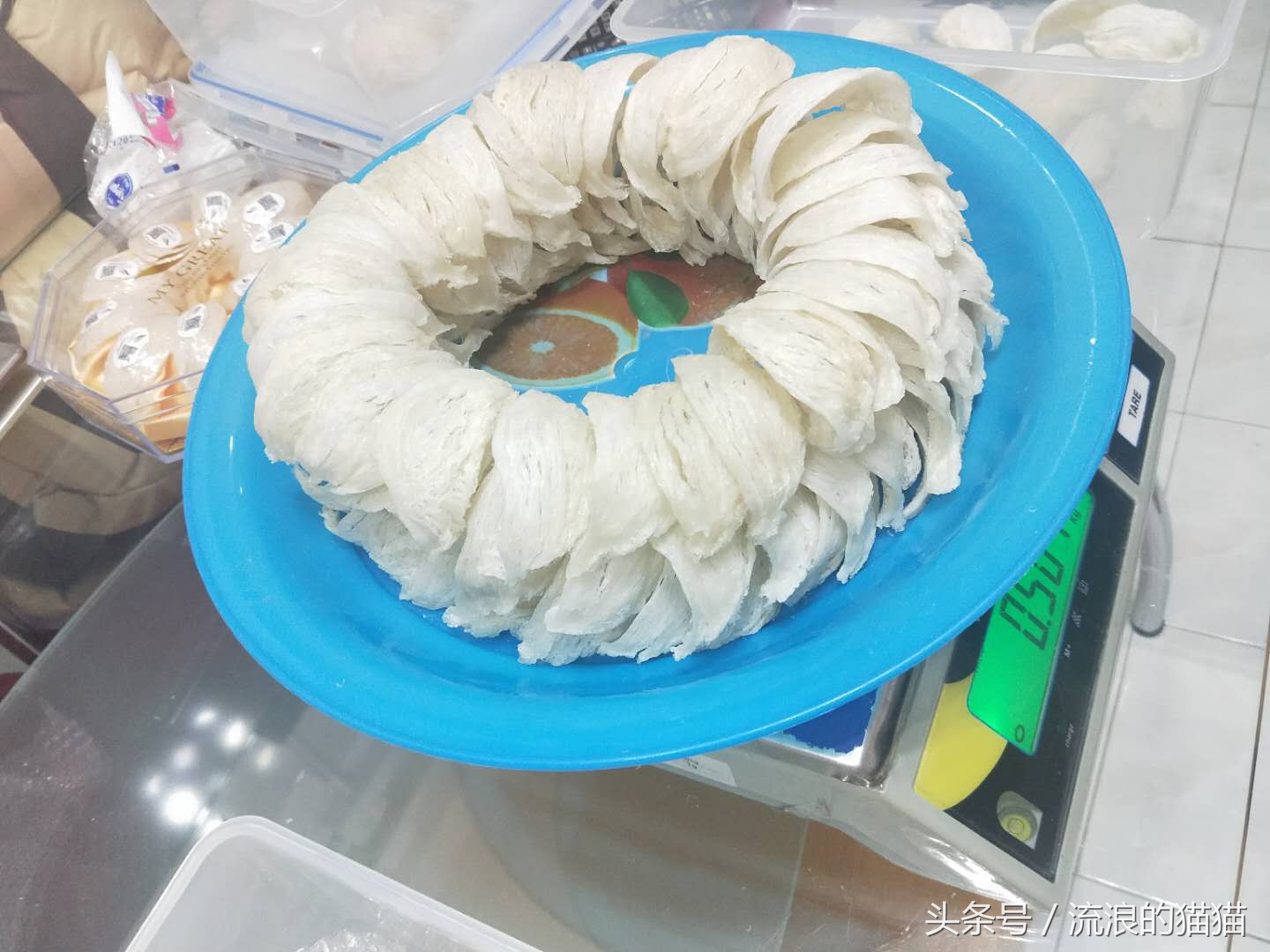 单车自驾游环游世界,单人单车自驾环游中国多长时间