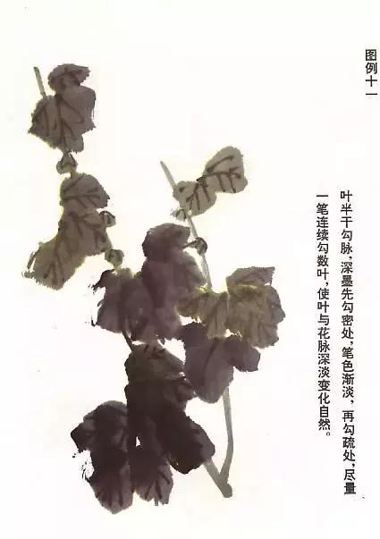 国画基础画菊花该如何构图才好看,国画菊花怎么画简单画法