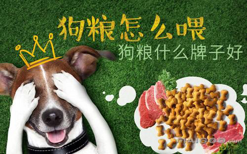 顶级猫粮狗粮品牌排行前十,猫粮和狗粮十大品牌