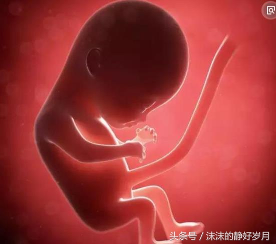 小孩会有胎儿时期的记忆吗,小孩可以记得在妈妈肚子里的事吗