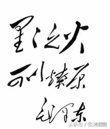 毛*东泽**书法的特点及作品欣赏