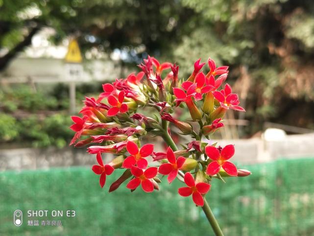 魅蓝e3曝光,魅蓝e3发布价