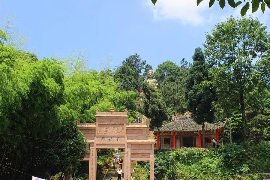 成都周边洗肺好去处,成都周边私藏的8个洗肺胜地