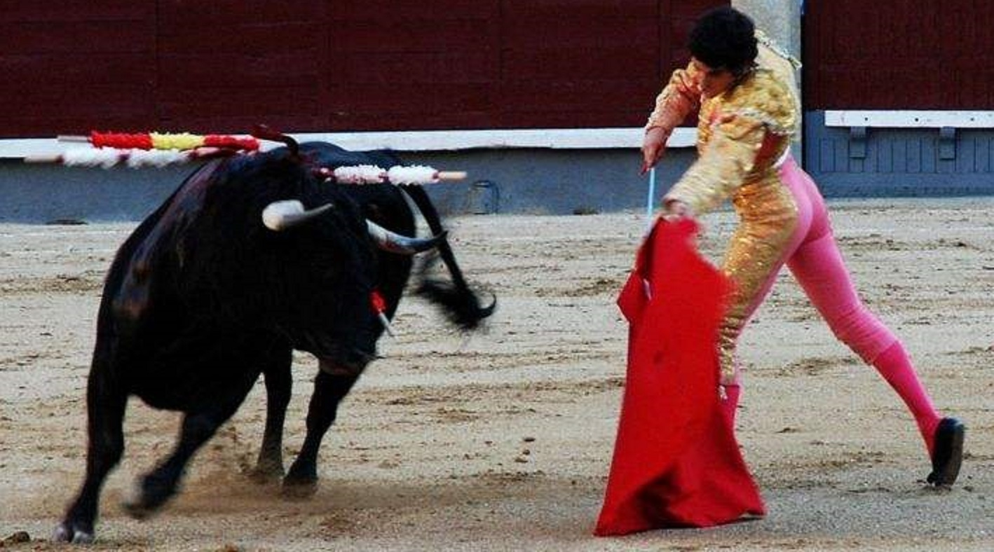 大神说球预测,大神说球绿茵完整版