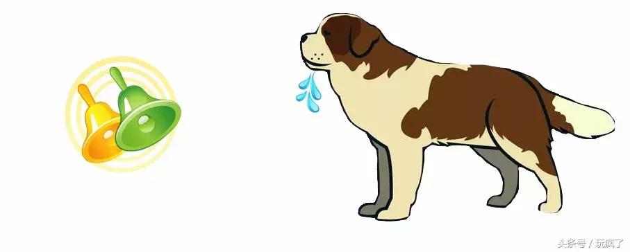 动物灵活训练,训练动物必杀技