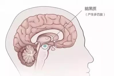 世界帕金森病日图片,全球有多少人得帕金森