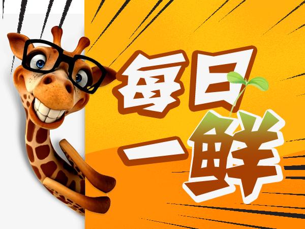 儿童报警求助知识,孩子报警求助教科书