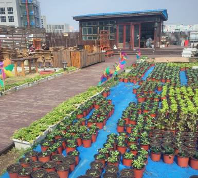 武汉约会餐厅走心推荐,约会餐厅武汉