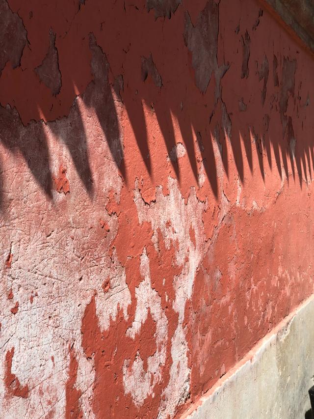 知者不惑意思,知者不惑的深度解析