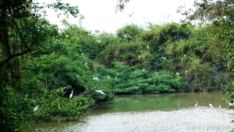 江门市台山东南亚风情村美食,江门市台山有哪些好吃好玩的地方