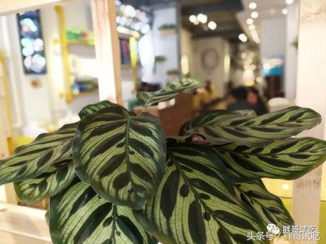 胖哥吃鸡脚饭全集,胖哥试吃团