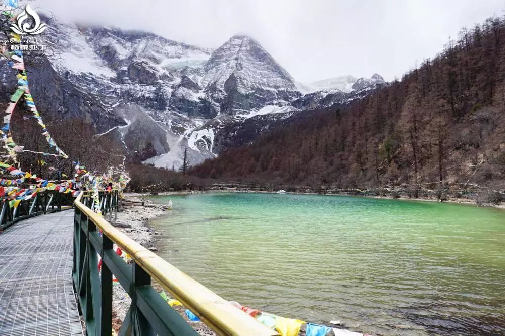 来自稻城亚丁的纯粹，是你没见过的美。