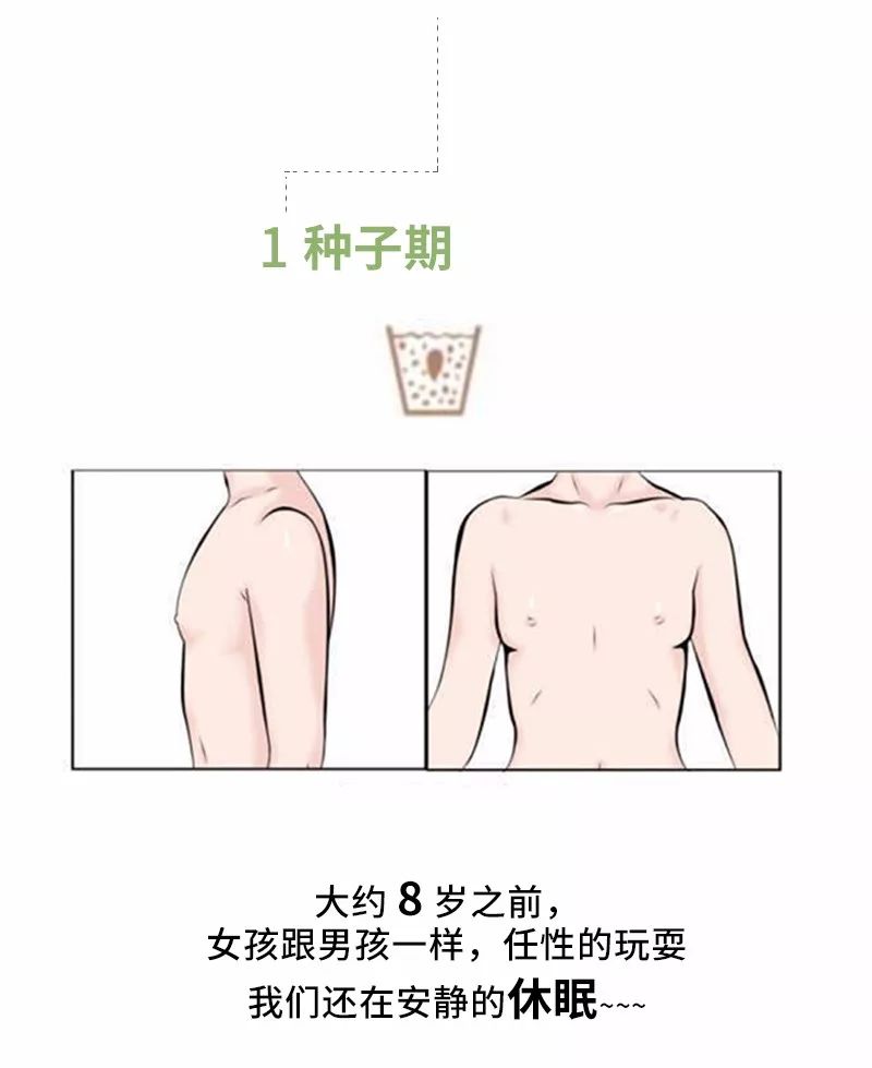 穿什么样的内衣对乳房发育有好处,乳房发育到什么样可以穿内衣