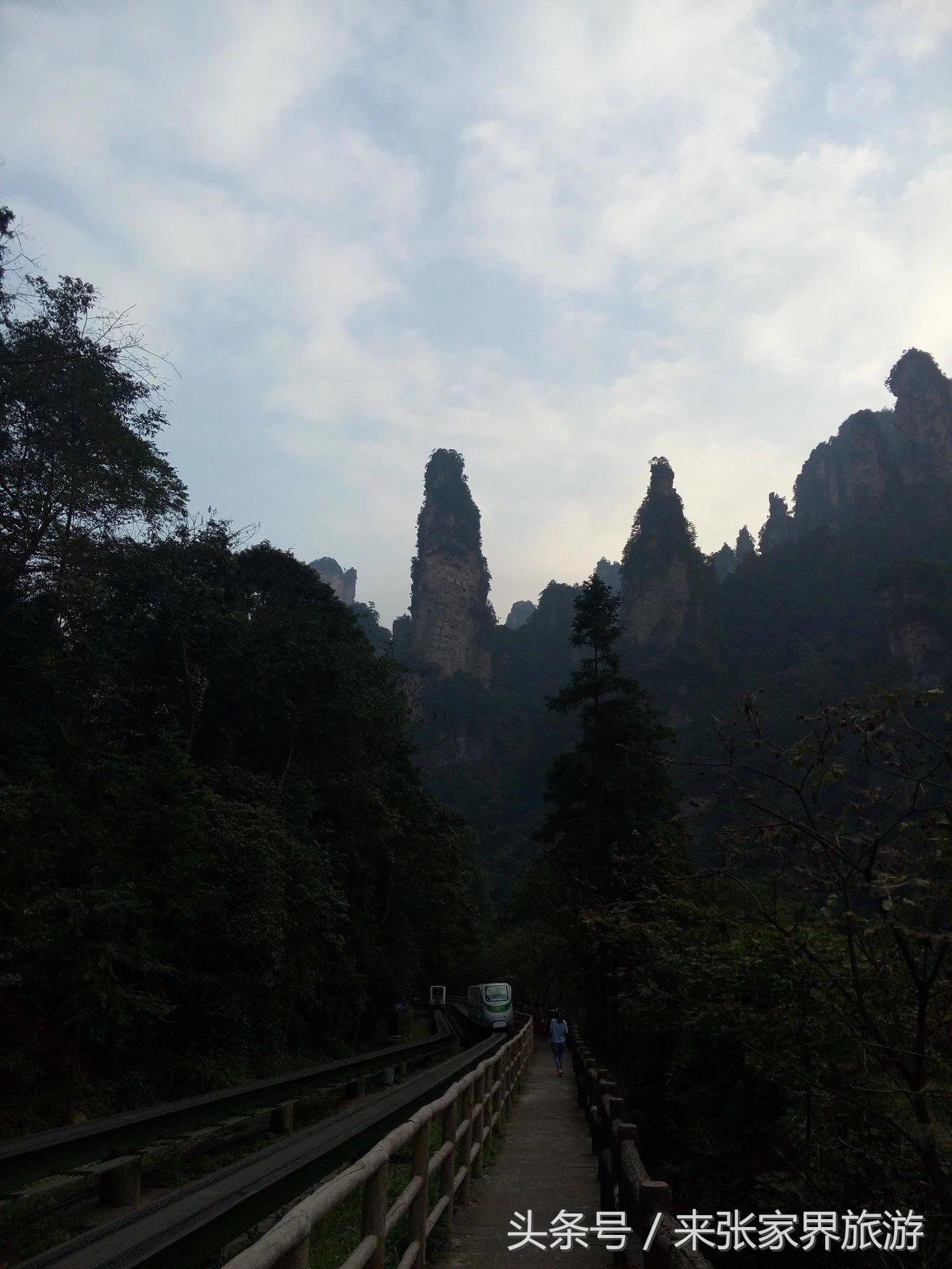 山东到张家界凤凰五日游攻略图文,佛山去张家界旅游攻略路线推荐图