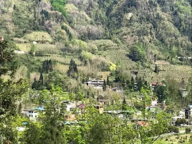 飞两千多公里,得到一座奇幻山林,一个温暖的家,一群有趣的人