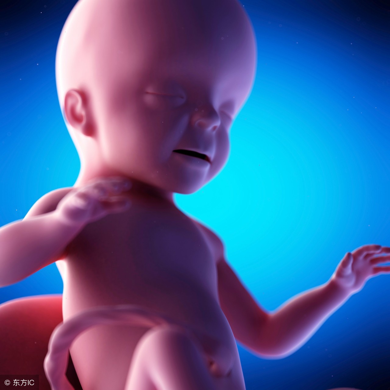 孕妈发现胎儿异常,孕妈检测胎动不料肚里的娃真给力