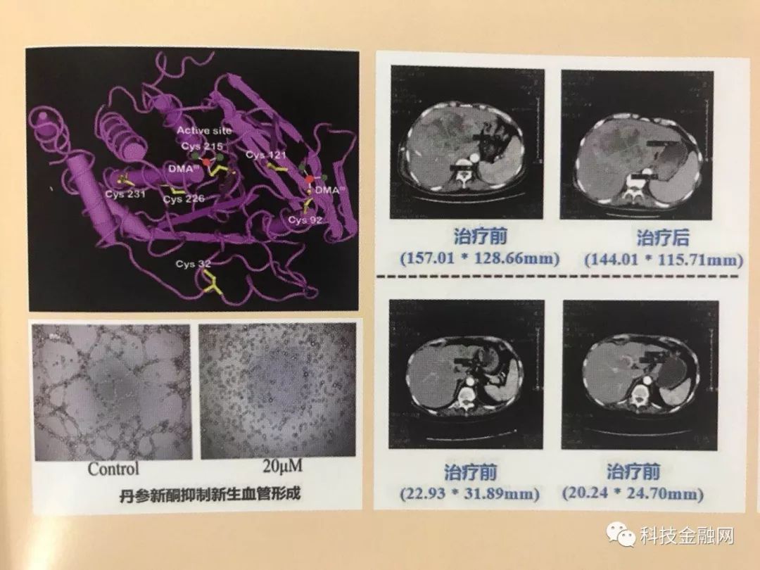 浙江科技大奖创新成果,浙江省科技进步一等奖