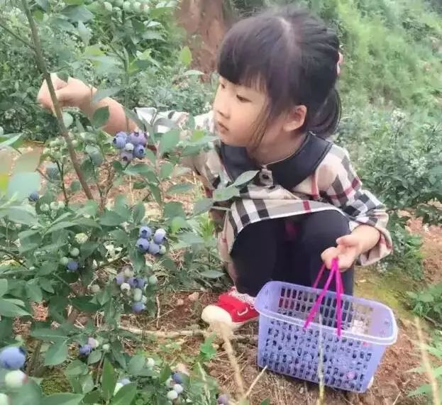 重庆风景让人一看心旷神怡的地方,秋日游重庆这里的景色别样好