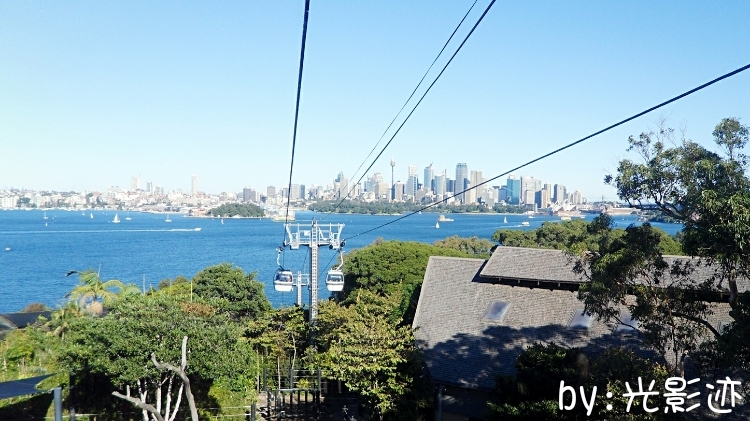 澳洲旅游必去动物园,澳洲动物园游记