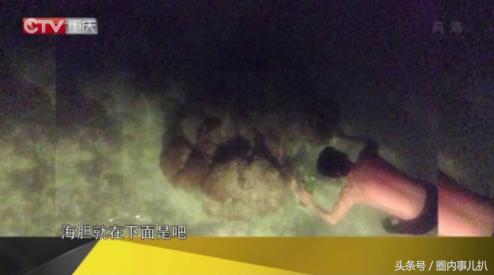 郭京飞爆料雷佳音喝醉后非要下海捞海胆，手被扎得全是刺还不怕死