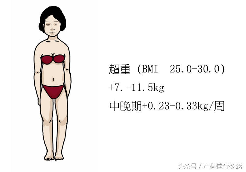 怀孕了吃什么不好,怀孕了吃什么不长胎