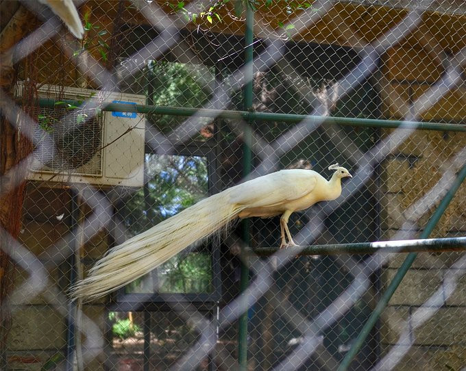 爱旅行爱生活之海南三亚蜈支洲,爱旅行游记攻略