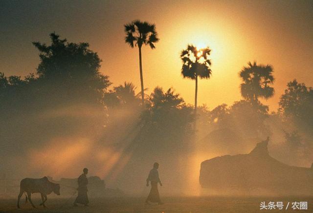 去乡下调研会遇到哪些问题,去农村旅游的注意事项