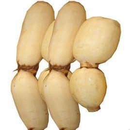 每一味中药背后都有一个美丽传说之藕节