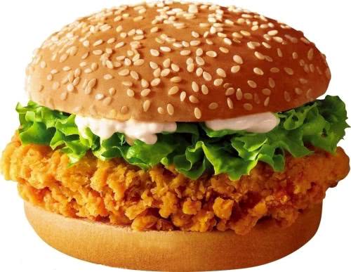 汉堡是垃圾食品还是营养食品,汉堡到底是垃圾食品还是健康食品