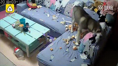 确认过眼神是警察要抓的人,确认过眼神你是加班人吗