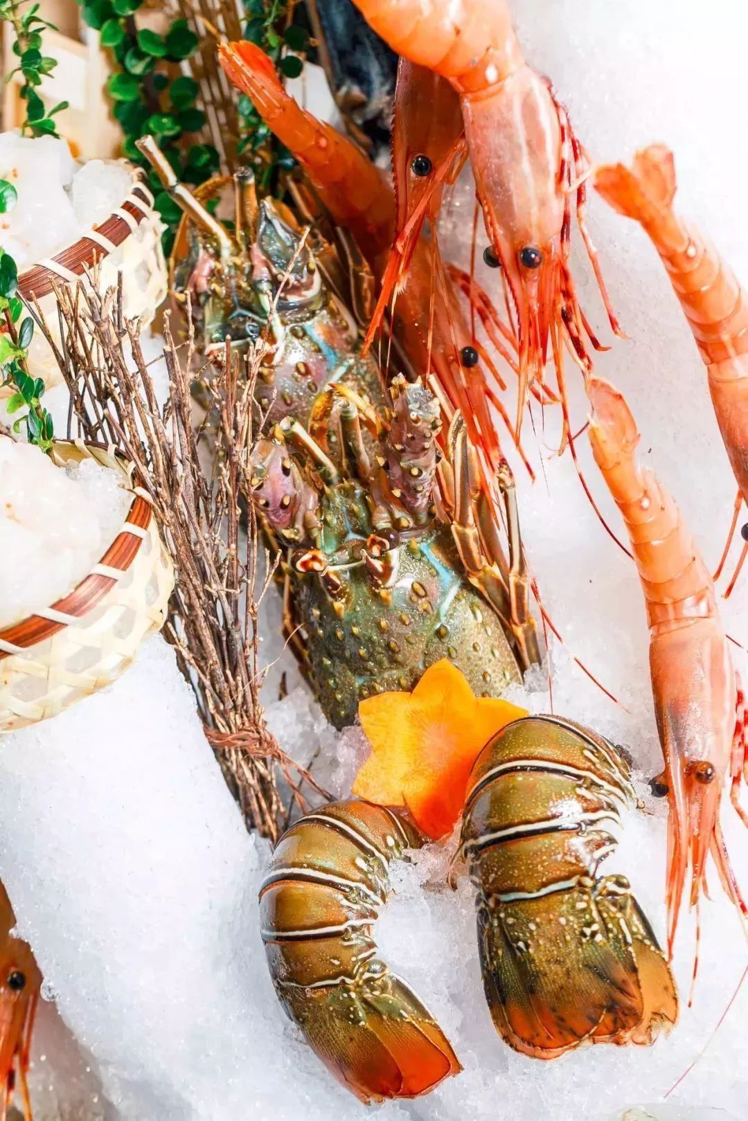 天津高端自助海鲜价位,天津顶级自助海鲜