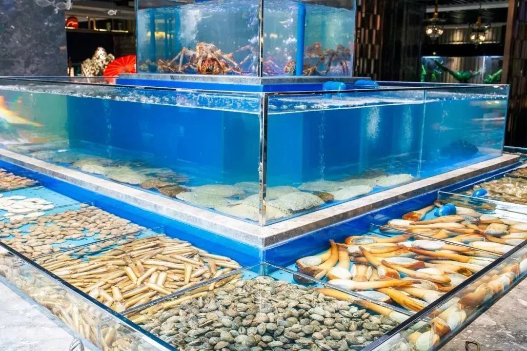 天津高端自助海鲜价位,天津顶级自助海鲜