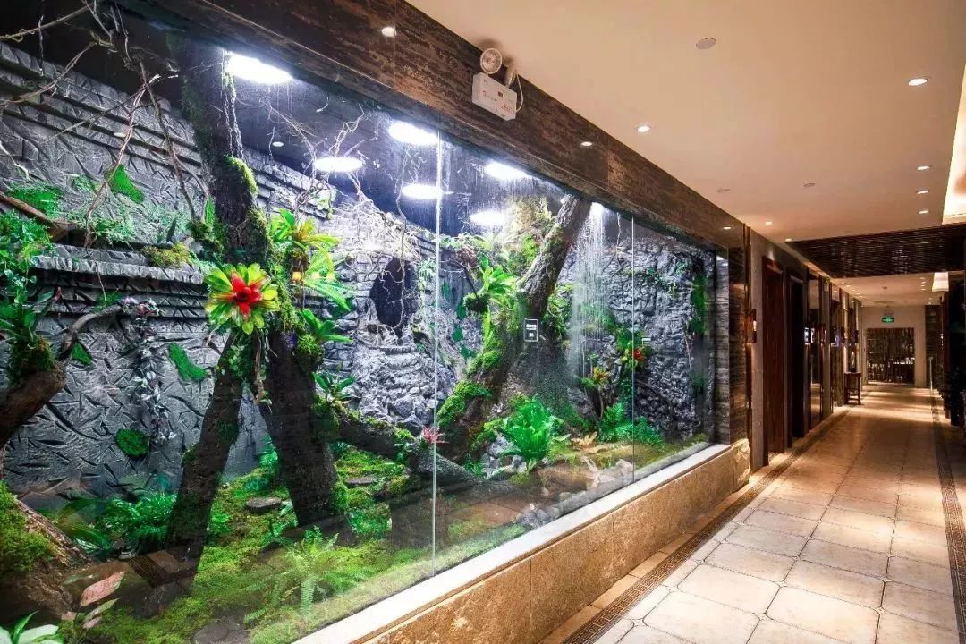 天津高端自助海鲜价位,天津顶级自助海鲜