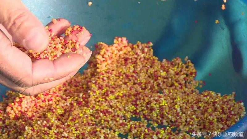 野钓大鱼选窝方法,野钓找窝方法图解