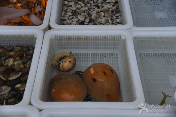 五一应季海鲜皮皮虾,又到了皮皮虾最肥美的季节