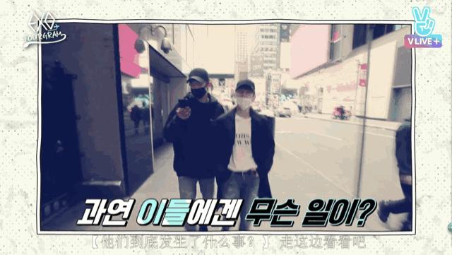 exo伯贤高光时刻,exo伯贤被吓到合集卡点