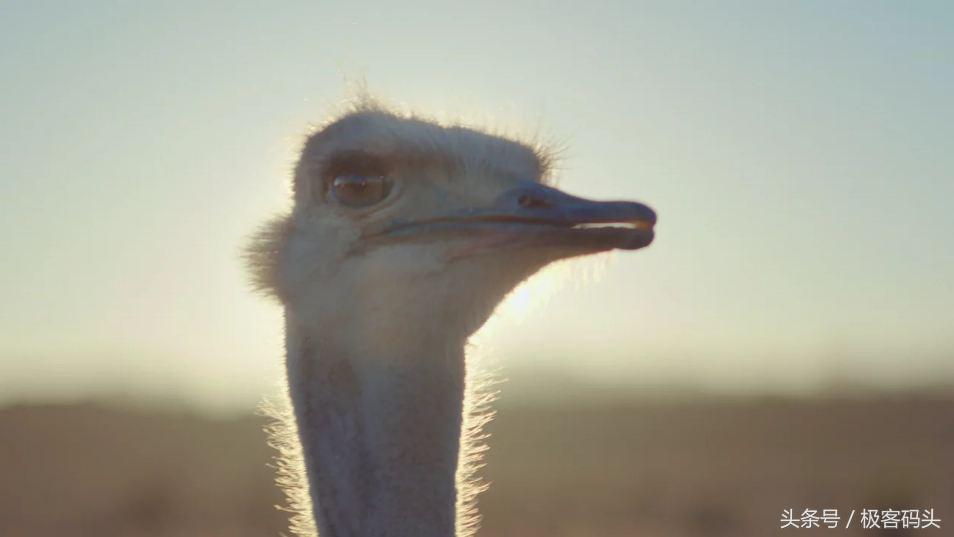 一句话广告词slogan,华为slogan广告词