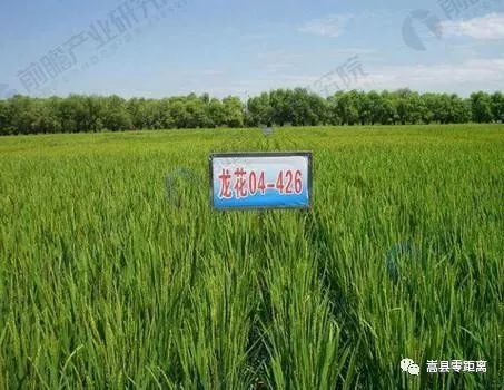 嵩县环陆浑湖开发,嵩县陆浑湖文旅项目