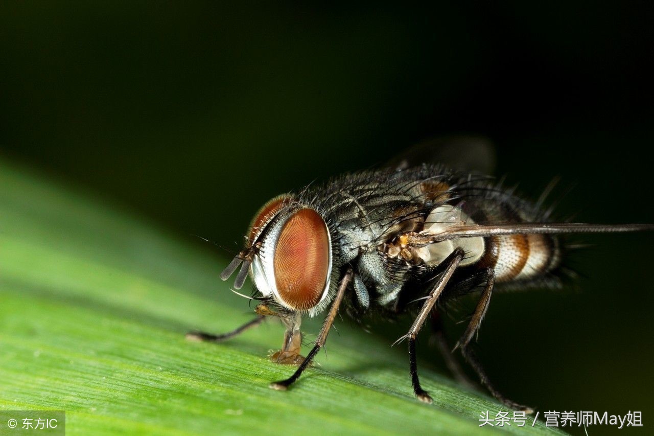 怎么护理四个月宝宝流鼻涕,孩子天天流鼻涕怎么办最简单方法