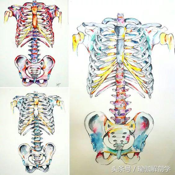 骨盆歪斜导致身体歪斜,骨盆歪斜瑜伽修复