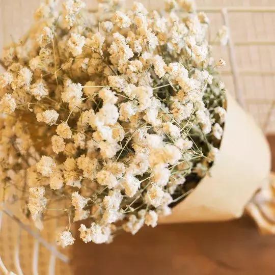 永生花插花制作方法,永生花制作教程520