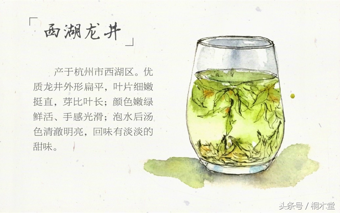 一张图读懂各种茶具,一张品茶实用图