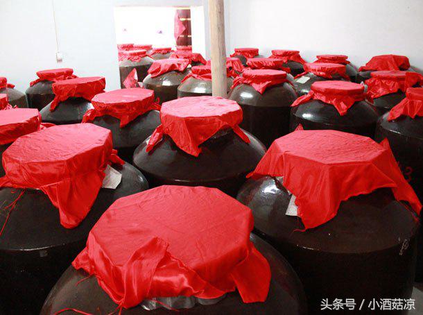 安琪白酒曲的酿酒方法,白酒酿造方法教学视频