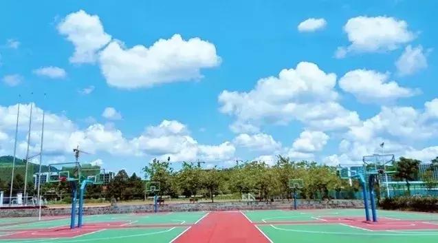 私立华联学院在全国的排名,私立华联学院是正规大学吗