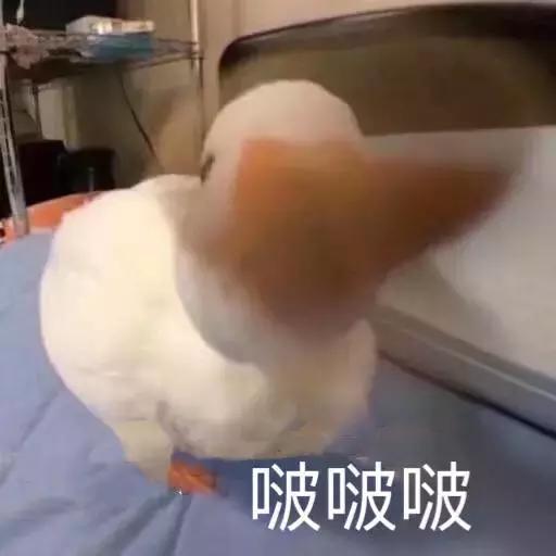 只涂防晒需要妆前护肤吗,只涂了防晒需要卸妆吗