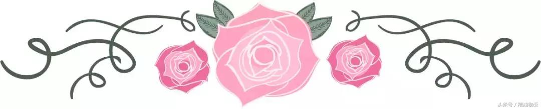 天竺葵精油涂在哪里止痛,面部专用精油天竺葵精油