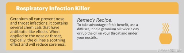 天竺葵精油涂在哪里止痛,面部专用精油天竺葵精油